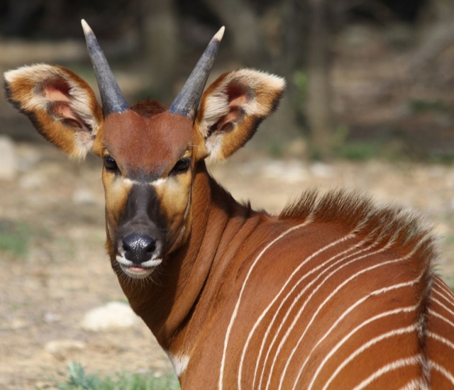  Descubrimientos únicos para toda la familia 